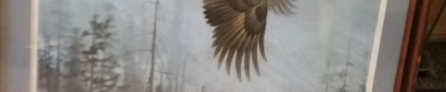 Robert Bateman Majesty on the Wing