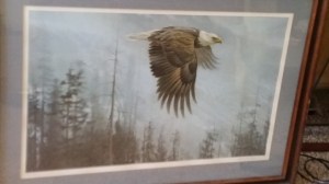 Robert Bateman Majesty on the Wing